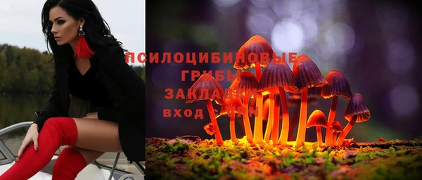 прущая мука Ельня