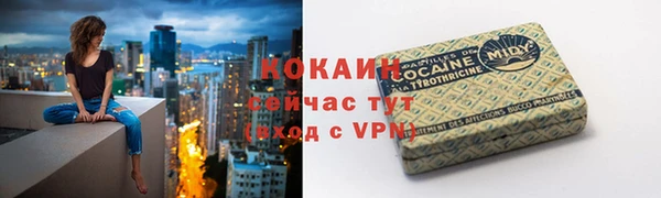 прущая мука Ельня
