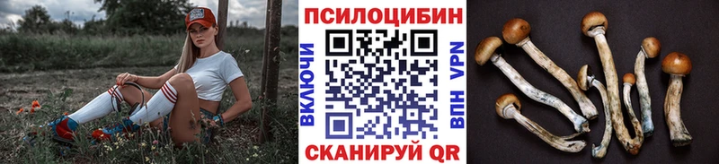 Псилоцибиновые грибы MAGIC MUSHROOMS  Купить закладки  Нефтекумск 